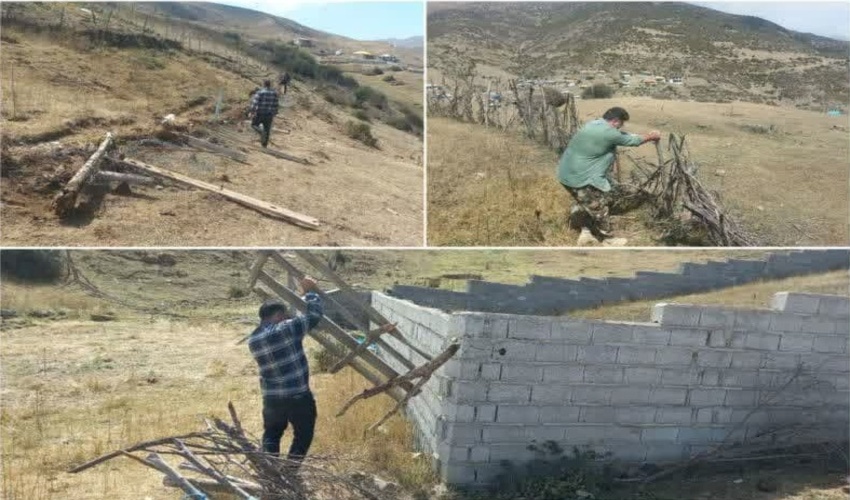 خروج دامهای غیر مجاز از جنگل