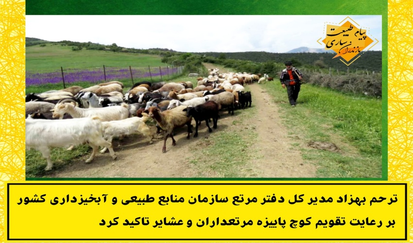 تاکید ترحم بهزاد مدیر کل دفتر مرتع سازمان بر رعایت تقویم کوچ پاییزه