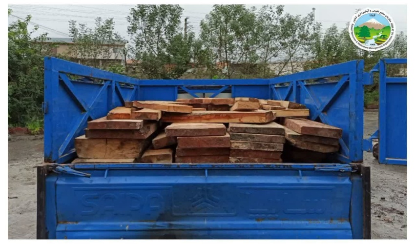  توقیف نیسان حامل چوب قاچاق در آمل