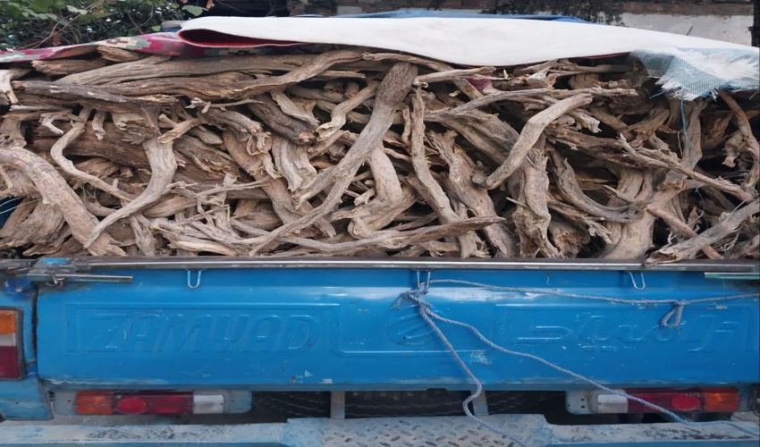  کشف چوب قاچاق در شهرستان نور