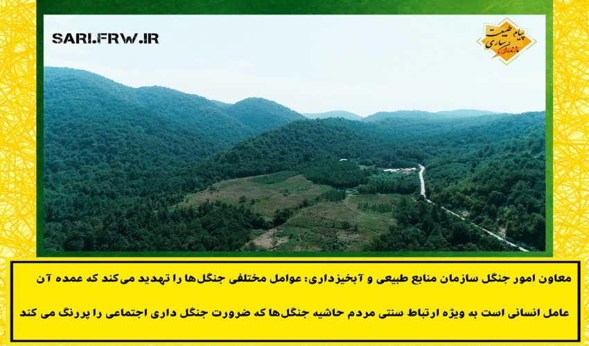 جنگل‌داری اجتماعی ضرورت امروز کشور است