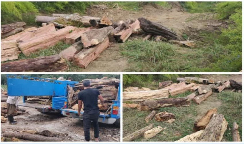  معارفه فرمانده یگان حفاظت منابع طبیعی شهرستان نکا 