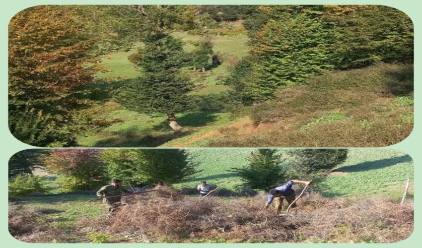 دیدار مسئول دفتر نمایندگی ولی فقیه در اداره‌کل منابع طبیعی مازندران - ساری با کارکنان اداره منابع طبیعی آمل