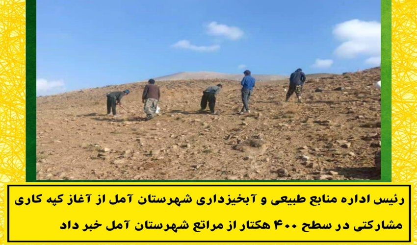 کپه کاری مشارکتی در ۴۰۰ هکتار از مراتع آمل انجام می‌شود 
