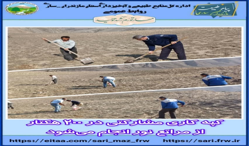 کپه کاری مشارکتی در ۲۰۰ هکتار از مراتع  شهرستان نور انجام می‌شود