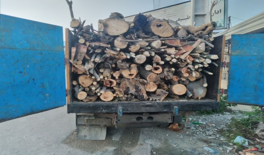 توقیف یک دستگاه خودرو کامیونت حامل چوب آلات قاچاق در حوزه استحفاظی شهرستان گلوگاه 