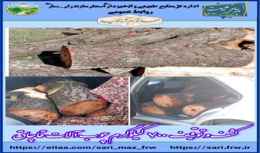 کشف و ضبط  ۷۰۰ کیلوگرم چوب آلات قاچاق در شهرستان نور