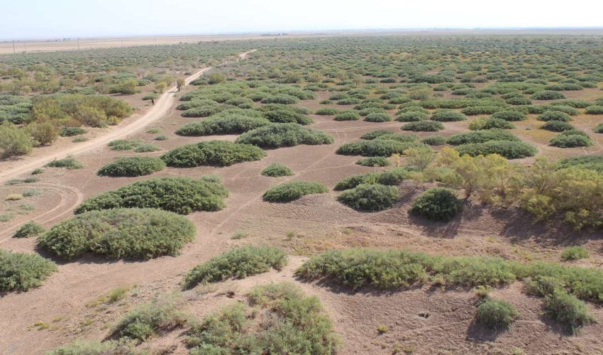 آزاد سازی اراضی ملی در منطقه بندپی شرقی شهرستان بابل