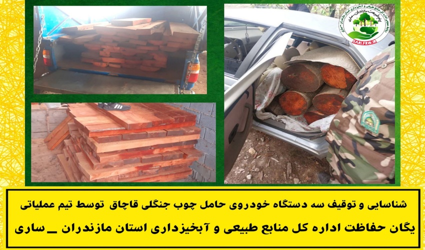 توقیف سه دستگاه خودرو حامل چوب قاچاق در شهرستان آمل 