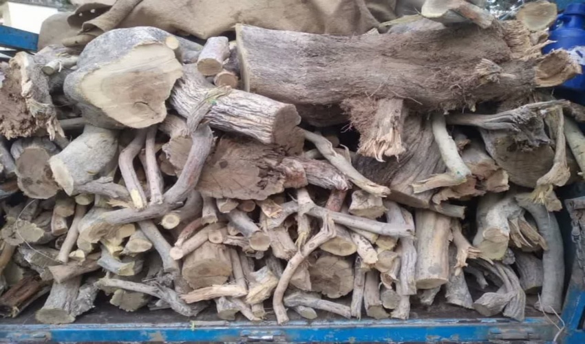 توقیف خودروی حامل چوب قاچاق در شهرستان میاندرود