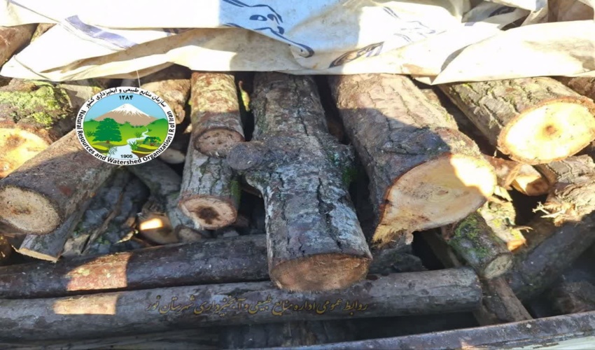 کشف و ضبط ۱.۵ تن چوب قاچاق در شهرستان نور