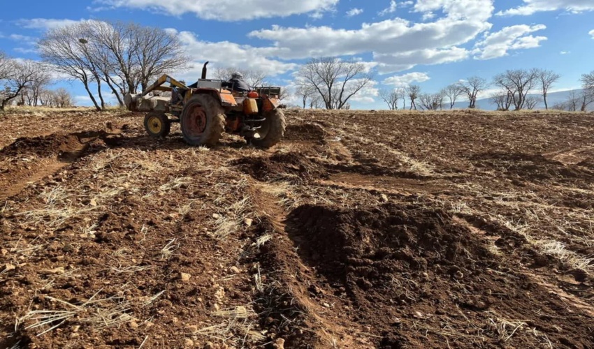 کشف چوب آلات قاچاق در شهرستان نور