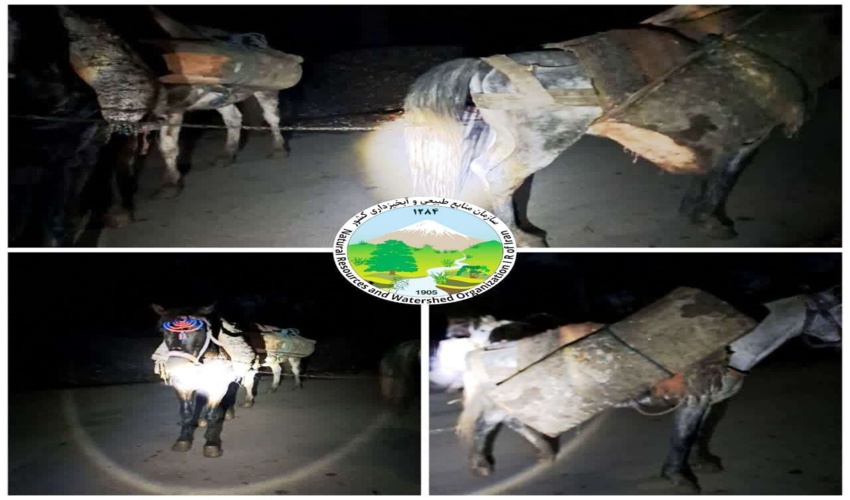 کشف و ضبط چوب قاچاق جنگلی در شهرستان نور