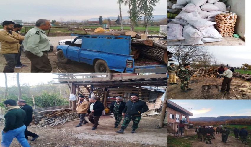 کشف و ضبط چوب آلات قاچاق جنگلی در شهرستان آمل