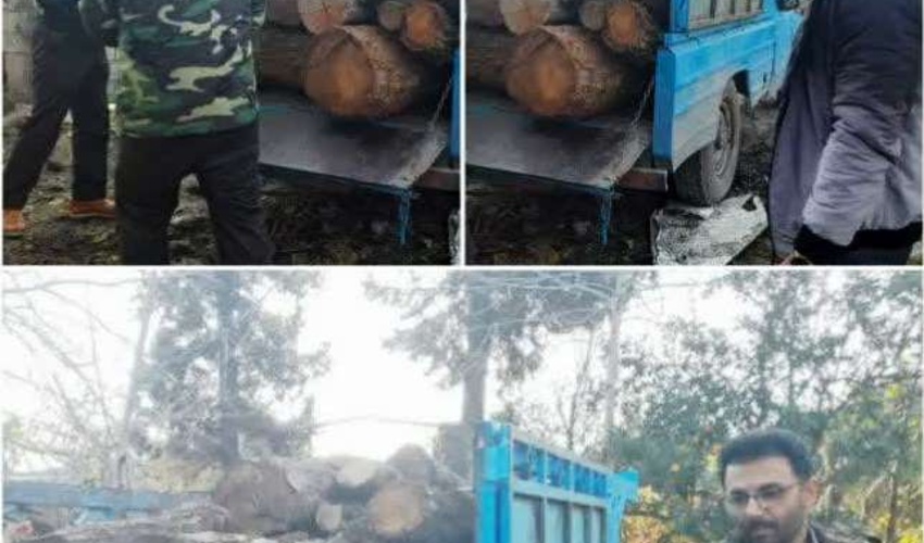 کشف و ضبط چوب آلات قاچاق جنگلی در شهرستان قائمشهر
