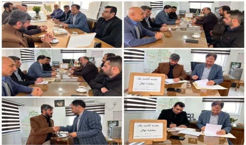 شناسایی عوامل سازمان یافته و حرفه‌ای قطع درختان جنگل انارجار شهرستان نور  