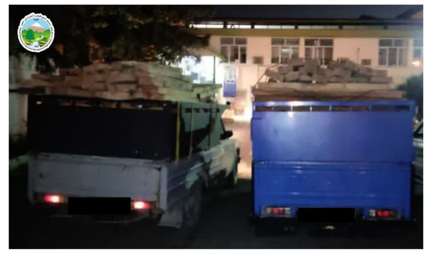  کشف و ضبط ۱/۵ متر مکعب چوب قاچاق در شهرستان نور 