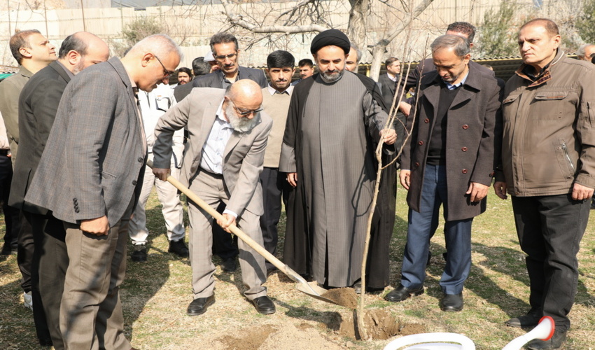 در آخرین روز دی ماه؛ هم افتتاح کردند هم درخت کاشتند