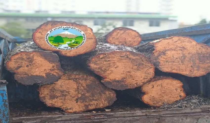 کشف و ضبط ۲ تن چوب  غیر مجاز در شهرستان نور 