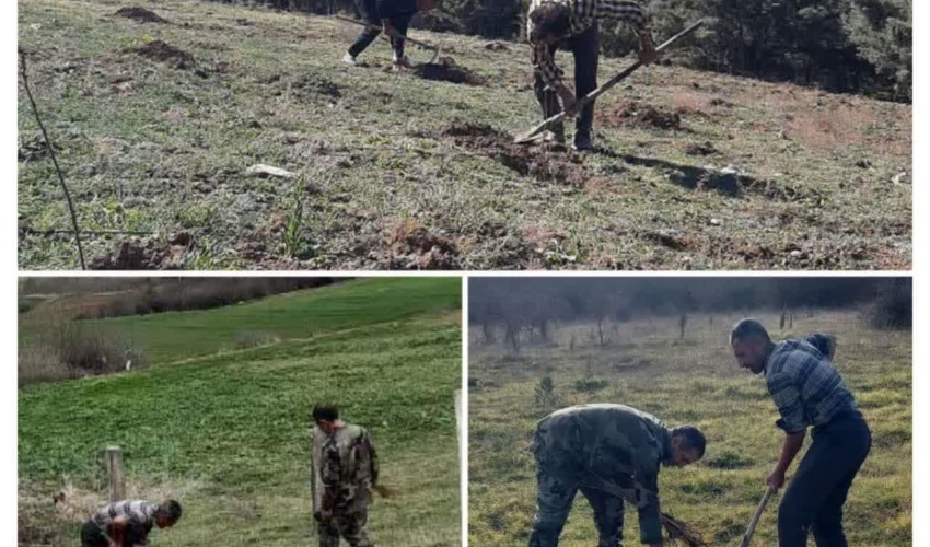 کاشت نهال در راستای طرح مردمی کاشت یک میلیارد درخت در شهرستان ساری 