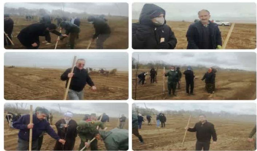 پویش نهالکاری ۸ اسفند ۱۴٠۲ در شهرستان بابلسر