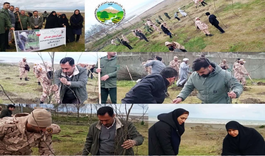 اجرای پویش ملی طرح کاشت نهال  ۸ اسفند در ساحل شهرستان نور