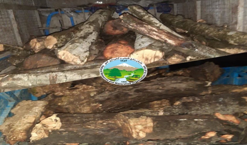 اجرای پویش نهال کاری 8 اسفند در شهرستان جویبار