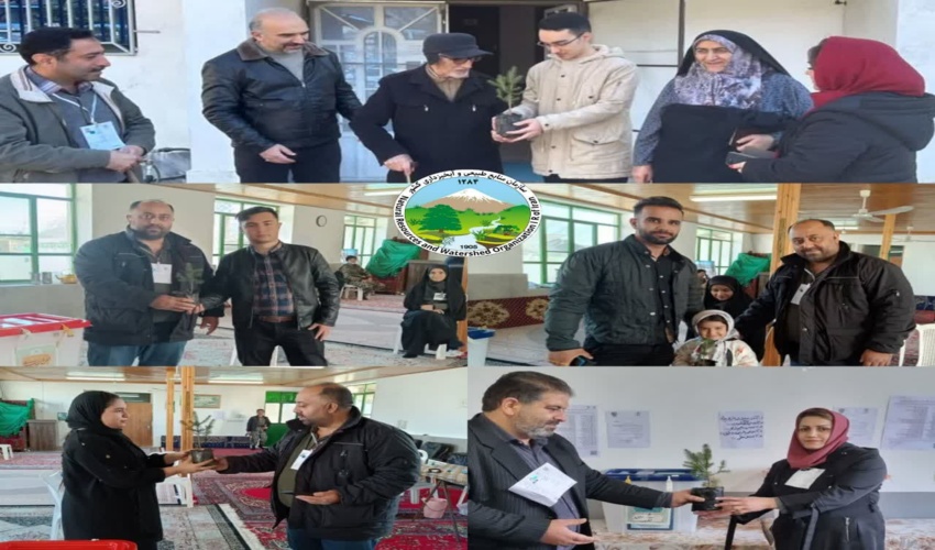 کشف دو باب کوره ذغال غیرمجاز در شهرستان ساری 