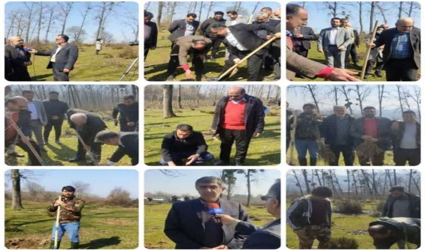 برگزاری مراسم روز درختکاری در بابل