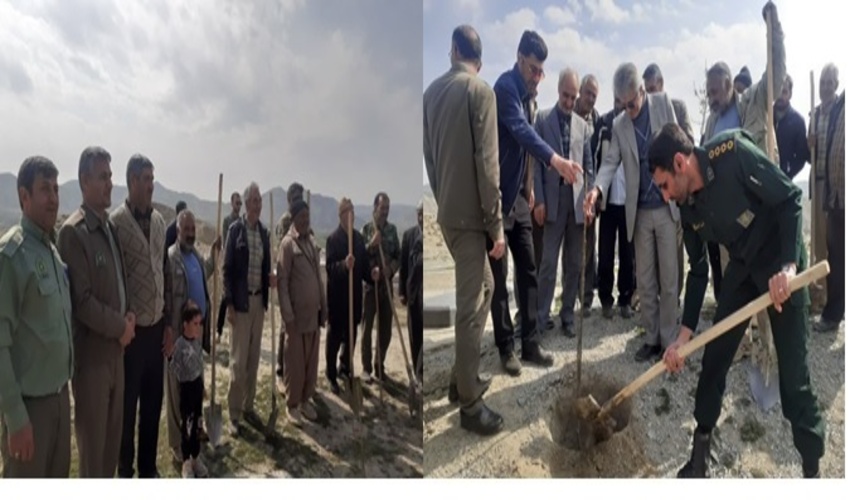 توزیع نهال رایگان در مصلی محمودآباد