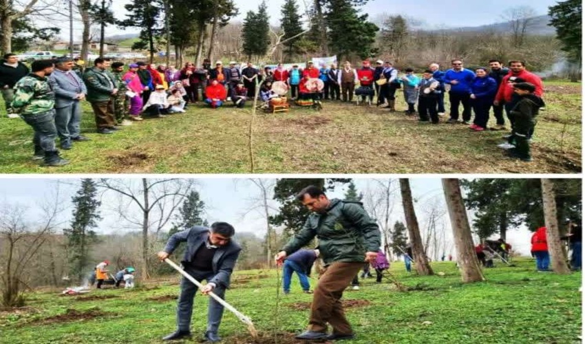 کشف و ضبط چوب آلات قاچاق جنگلی در شهرستان سوادکوه شمالی