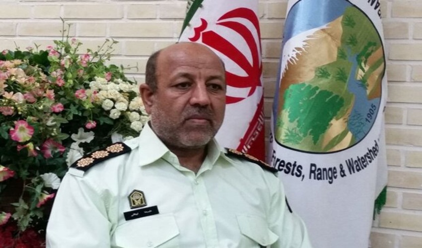  توقیف پراید حامل چوب جنگلی قاچاق در آمل