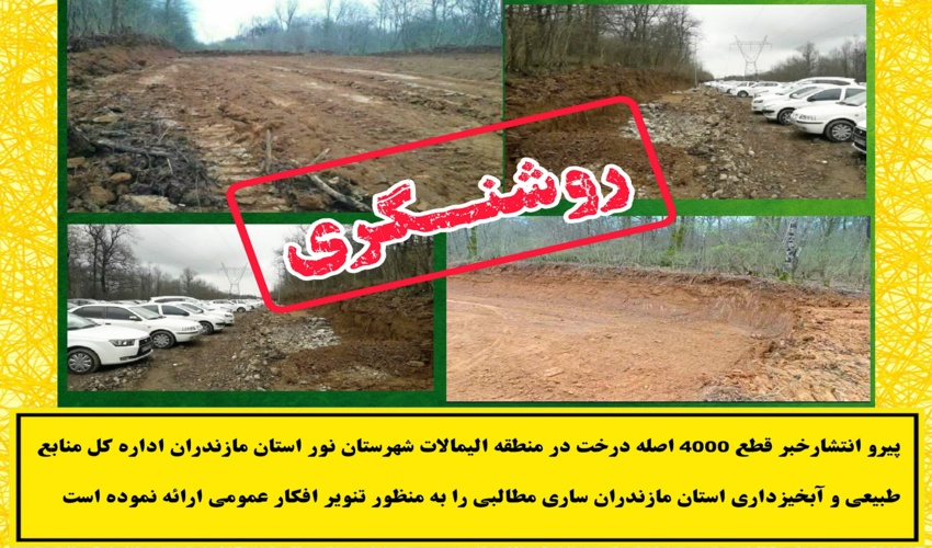 روشنگری پیرو انتشار خبر قطع 4000 اصله درخت در منطقه الیملات شهرستان نور