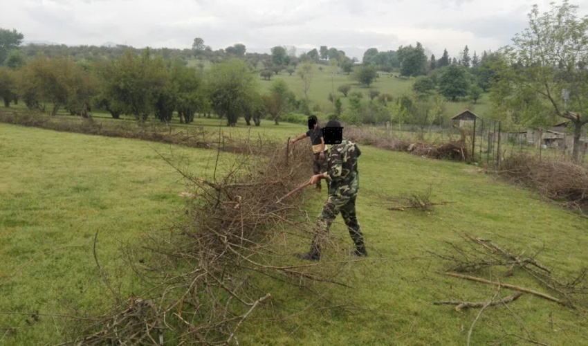 کشف و ضبط چوب آلات قاچاق جنگلی در شهرستان قائمشهر