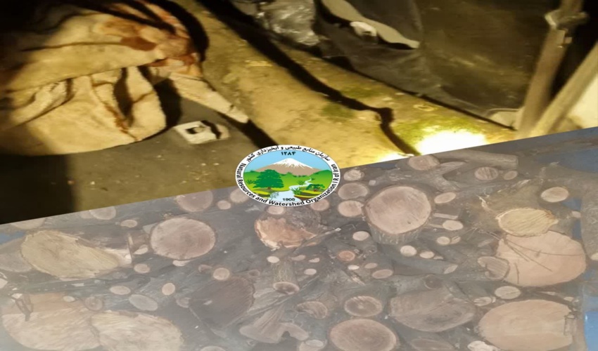 کشف ۲ تن چوب آلات قاچاق در شهرستان نور