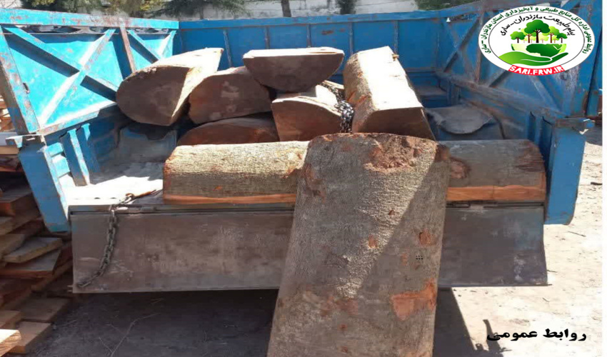 کشف و ضبط چوب قاچاق از گونه تاغ در شهرستان میاندورود