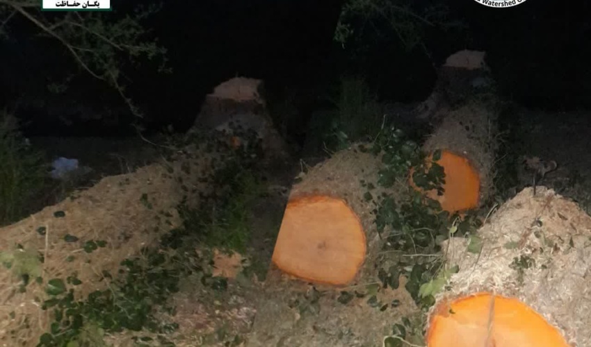  کشف و ضبط ۲ تن چوب  قاچاق در شهرستان نور