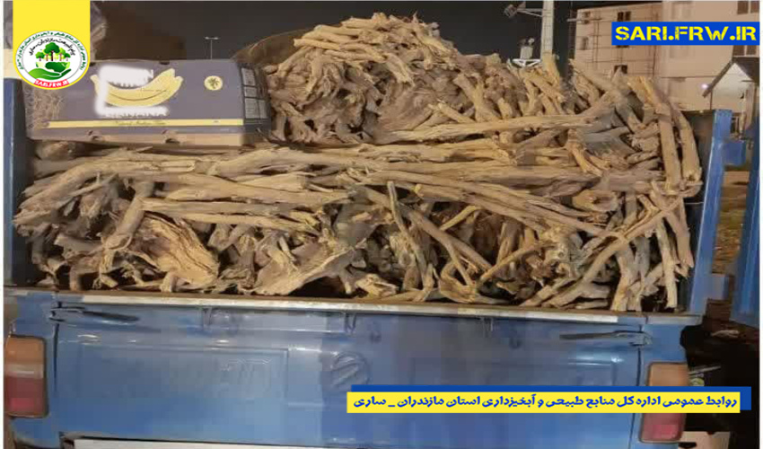 کشف و ضبط چوب قاچاق از گونه تاغ در شهرستان میاندورود