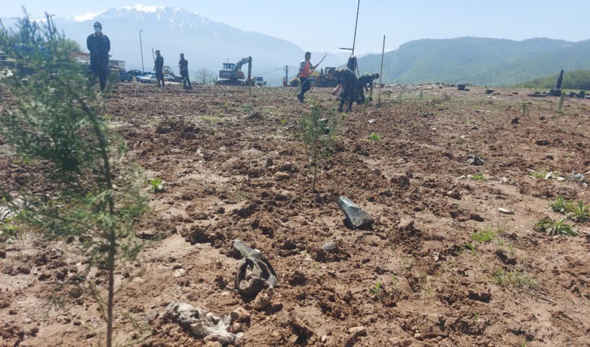 بازدید جانشین فرماندهی یگان حفاظت در حوزه جنگلهای شمال کشور از وضعیت جنگلهای شهرستان های  نور و بهشهر