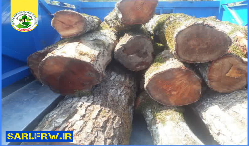 کشف و ضبط چوب آلات قاچاق جنگلی در شهرستان سوادکوه 