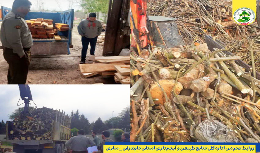 کشف و توقیف چوب جنگلی قاچاق در آمل 