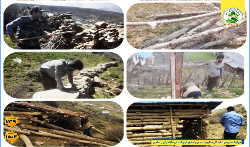 توقیف نیسان حامل چوب جنگلی قاچاق در آمل 