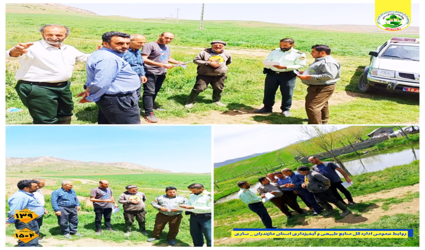 کشف و ضبط ۲ تن چوب قاچاق در شهرستان ساری