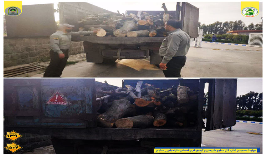 کشف و ضبط ۱/۵ تن چوب قاچاق در شهرستان ساری 