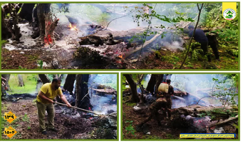 اطفای حریق در منطقه وچاد شهرستان سوادکوه 