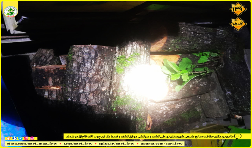  کشف و ضبط یک تن چوب آلات قاچاق در شهرستان نور 