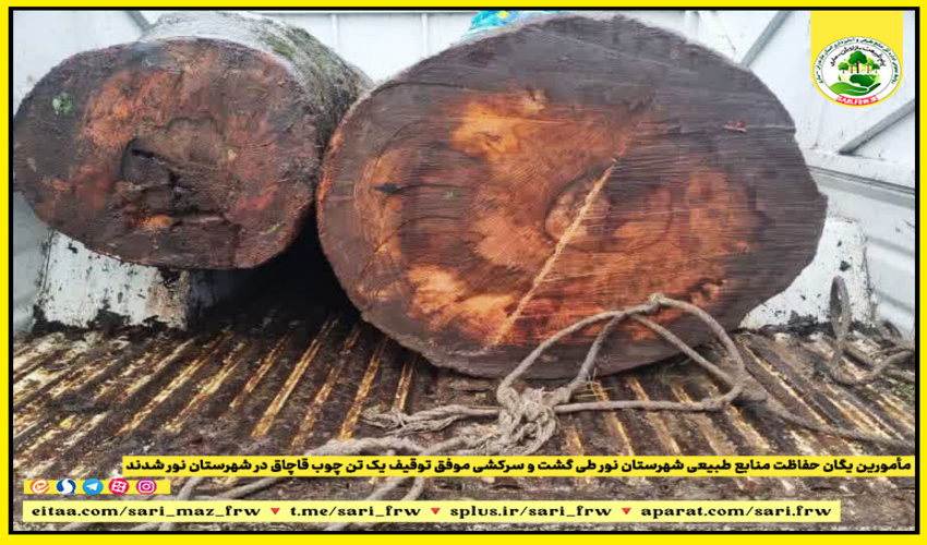 توقیف یک تن چوب قاچاق در شهرستان نور 