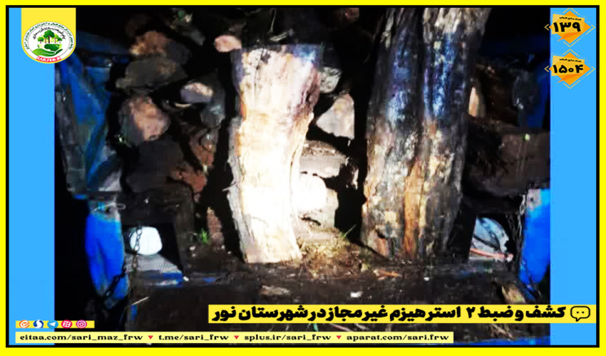 کشف و ضبط ۲ تن چوب قاچاق در شهرستان نور 