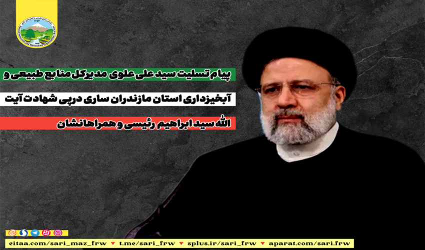 پیام تسلیت مدیرکل درپی شهادت آیت الله رئیسی