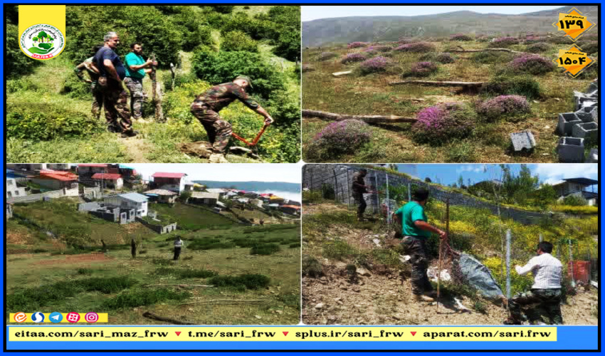  ۶ هزار مترمربع از اراضی ملی در آمل آزاد شد